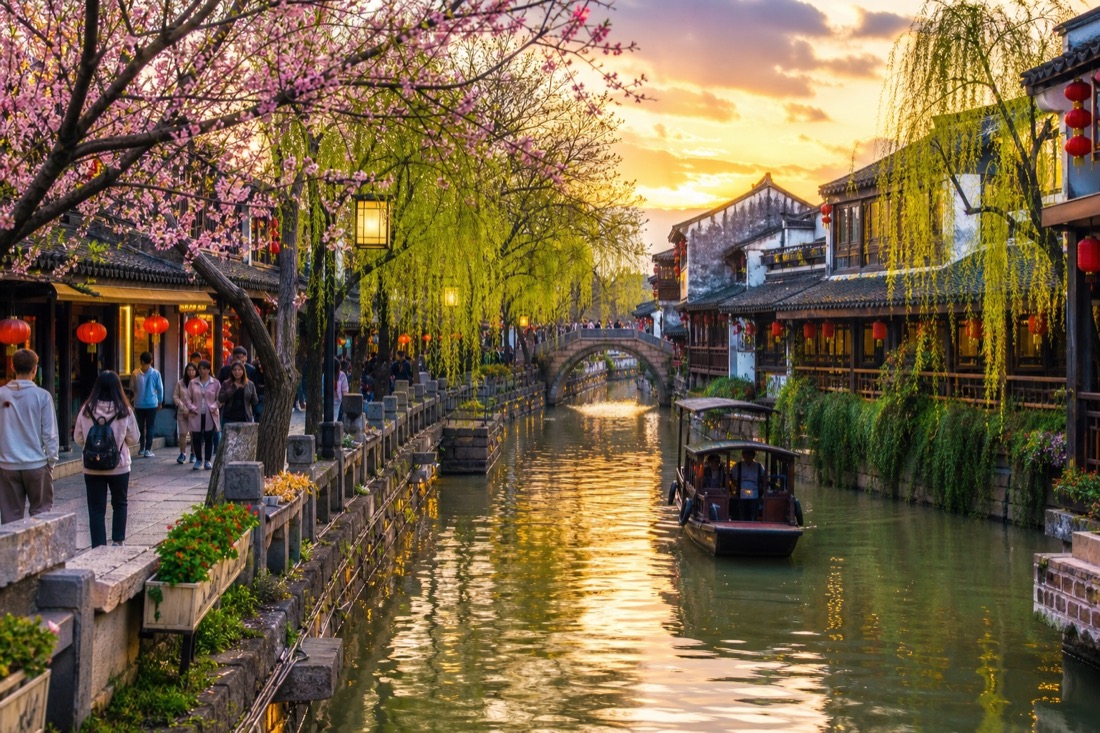 Spring blossoms and lanterns along a canal town at sunset.